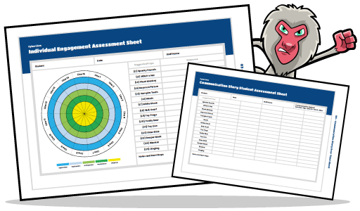 Accessement Tools