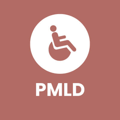 Icon Pmld